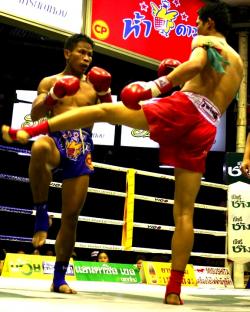 modern-muay-thai2