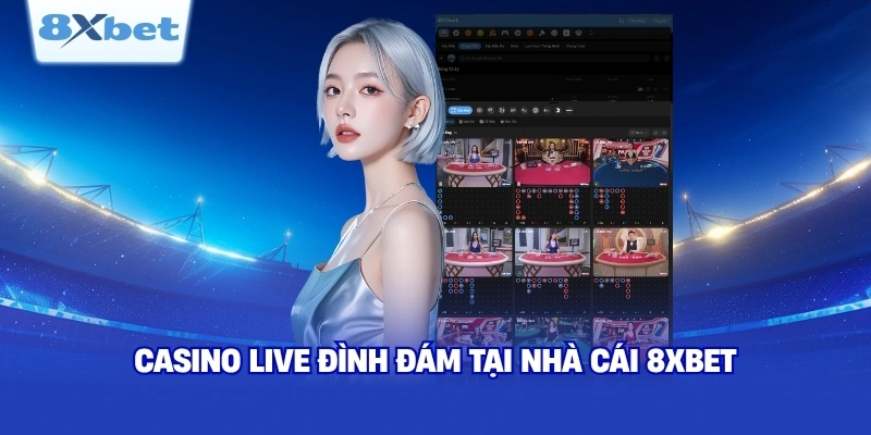 Casino Live đình đám tại nhà cái 8XBET